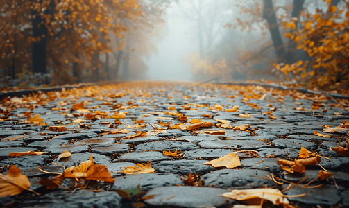雾蒙蒙的天气里秋季公园的鹅卵石路散落着落叶