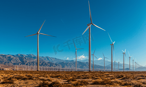 加州沙漠中引人注目的风力涡轮机农场