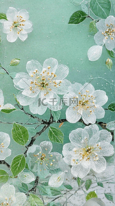 清新白色花朵背景图片_轻奢国风中式刺绣白色花朵背景