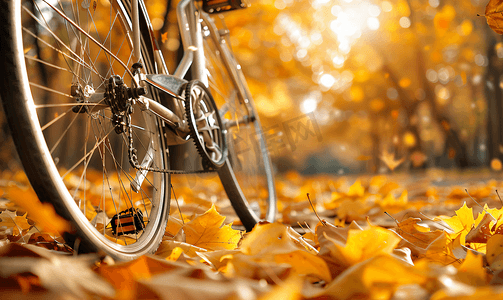 落黄的秋叶背景自行车轮