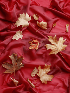 干树叶散落在红布上
