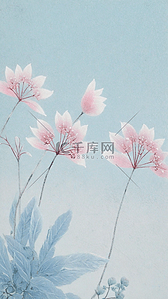 蓝色背景里的清新粉色花叶花枝