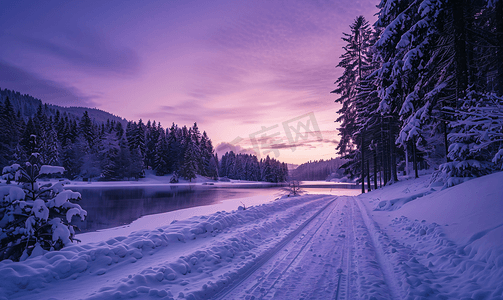 紫色的天空冬季森林壮丽的风景背景