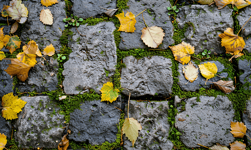 古老的铺路石上长满了绿色的青苔散落着黄色的秋叶