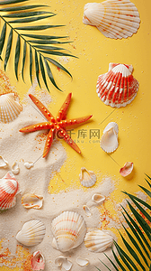 带贝壳的珍珠背景图片_夏日沙滩海星贝壳棕榈叶黄色背景