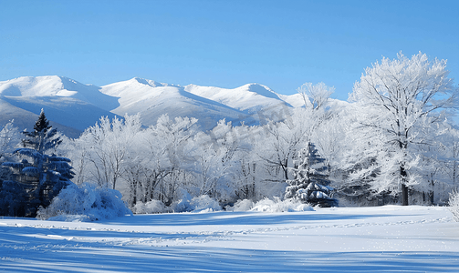 冬季新罕布什尔州的白雪覆盖了白山