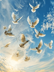 天空飞的鸟摄影照片_一群信鸽在多云的天空中飞翔