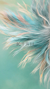 彩色毛绒绒的动物毛发纹理背景素材