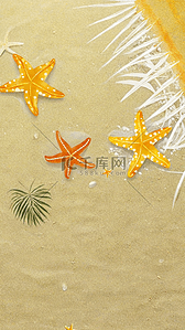 夏日沙滩纹理海星贝壳黄色背景