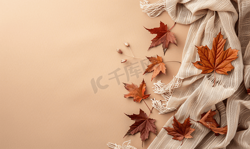 枫树的叶子摄影照片_米色背景上带围巾的秋叶带复制空间横幅