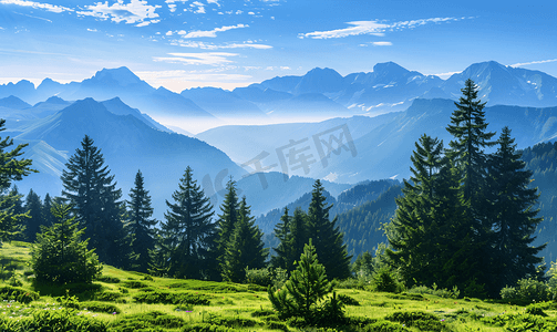 法国阿尔卑斯山的常绿杉树与锥峰