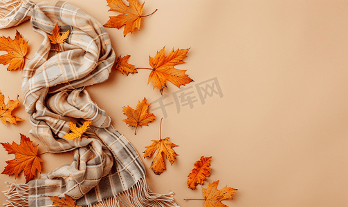 米色背景上带围巾的秋叶带复制空间横幅