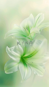 小清新绿色透明质感百合花纹理设计