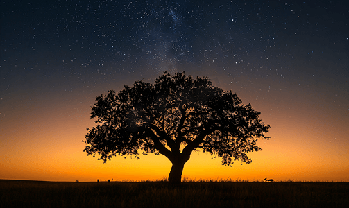 超级飞侠图摄影照片_一棵树在晚上的剪影