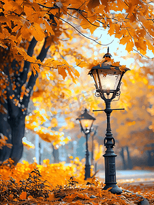 美丽的秋天风景与路灯