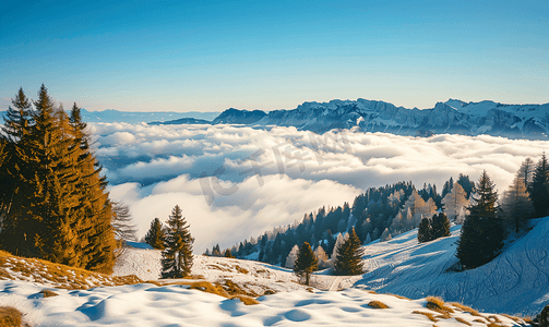 奥尔比阿尔卑斯山上的阿雷拉山云海之上