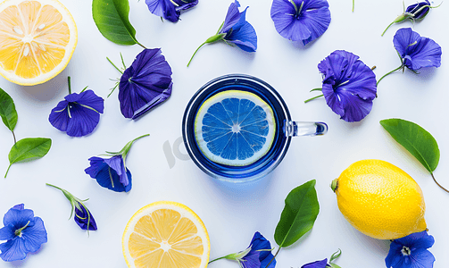 白色背景柠檬蝴蝶豌豆花茶的顶视图健康饮料概念