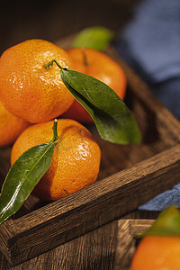 冬季水果橘子图片