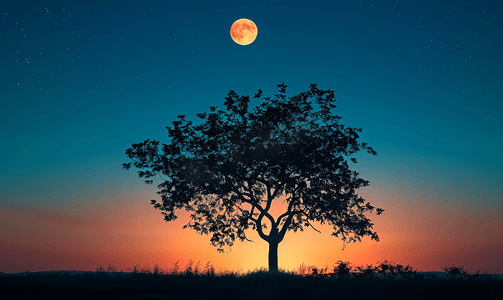 树剪影摄影照片_一棵树在晚上的剪影