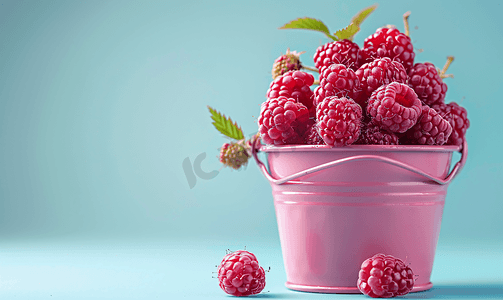 铁粉色桶中的熟红树莓