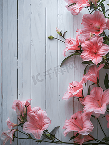 花瓣对话框摄影照片_粉红色的花框白色木质背景与空间副本