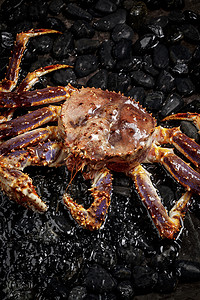 杀人蟹摄影照片_黑色鹅卵石上的深海阿拉斯加帝王蟹