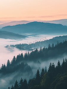 雾山上宁静的早晨景观