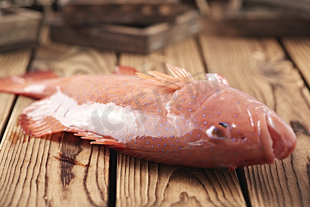 生蚝捕捞摄影照片_在木板上的鲜活东兴石斑鱼