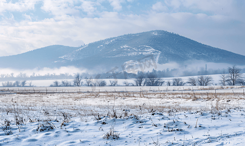 葡萄酒生产庄园摄影照片_托卡伊附近的冬季仙境