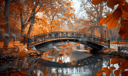 水面上的桥梁和秋天的树木