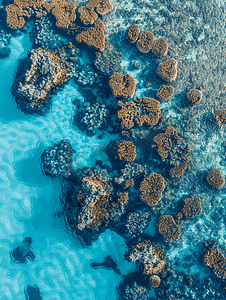 用无人机鸟瞰法属波利尼西亚的珊瑚花园礁