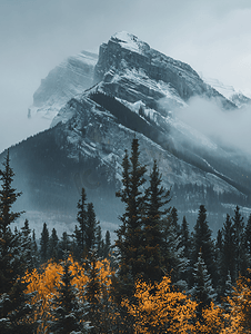 加拿大艾伯塔省硫磺山一个阴郁的秋日
