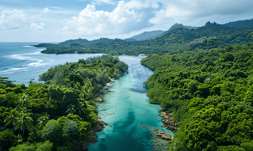 树林岛摄影照片_无人机拍摄的塞舌尔马埃岛的河流和茂密的植被