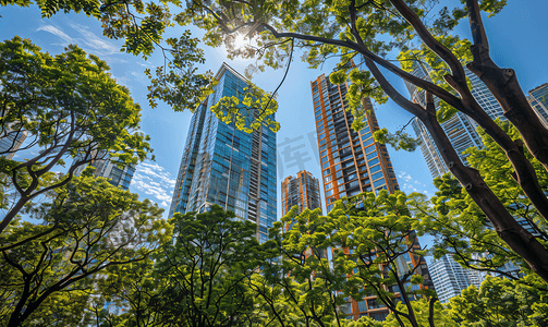 企业背景墙蓝色摄影照片_阳光明媚的日子摩天大楼的玻璃幕墙与绿树