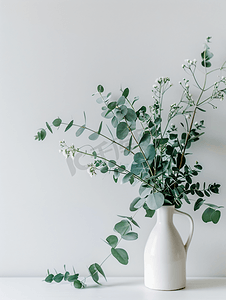 横幅架子摄影照片_白色背景桌上陶瓷花瓶中美丽的桉树花复制空间