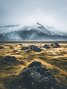 冰岛没有植被的田野、草地和山脉