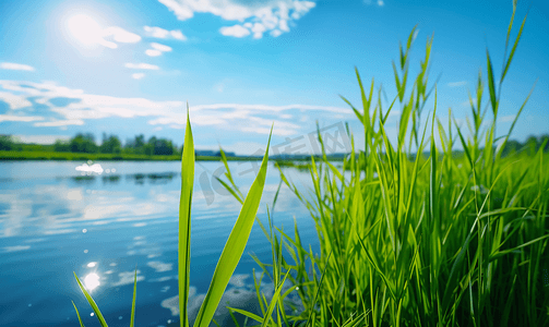 水粉清新摄影照片_美丽的背景有湖和草
