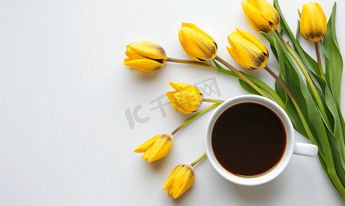 白色背景上春黄色郁金香咖啡杯平躺顶视图