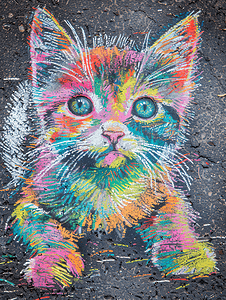 用粉笔在沥青上画的猫用粉笔在沥青上画的彩色猫
