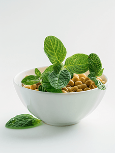 白色碗中的大豆白色背景中分离出绿色植物