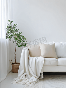 明亮舒适的现代客厅内部配有沙发和带白墙的植物