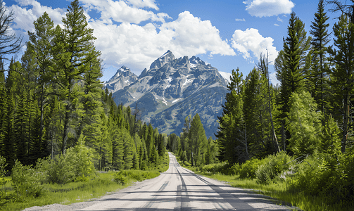 道路蓝色摄影照片_穿过森林通往大提顿山脉的道路