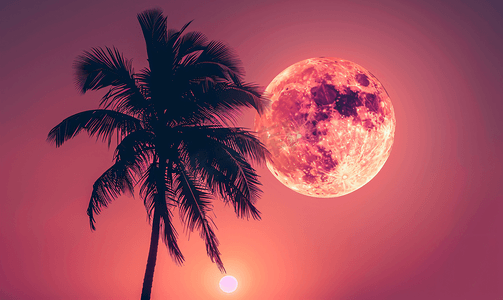 花仙子剪影摄影照片_夜空中的超级花彩色月亮与剪影棕榈树
