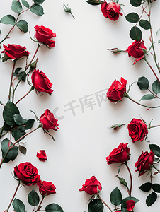 白色背景下由红玫瑰和树叶制成的花卉构图框架