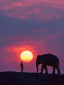 日落时大象与游客的剪影