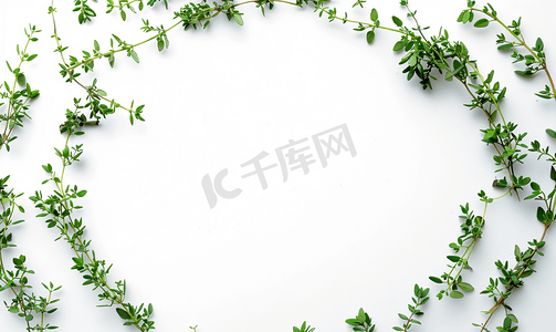 花卉花环摄影照片_圆形灰叶白色花环框架由新鲜百里香香料制成白色隔离