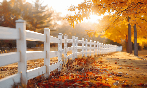 美丽多彩的秋景白色围栏和秋色