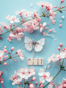 木制日历的顶部视图带有七月标志粘土蝴蝶和粉红色的花朵