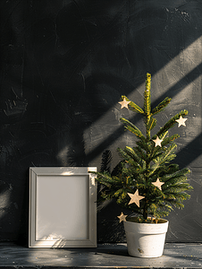 白色花盆中的小替代圣诞树装饰着木星和白色框架用于在纹理黑色现代时尚假日图像复制空间上模拟硬背光和阴影