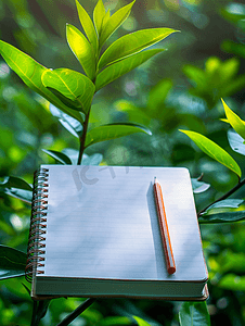 铅笔书籍摄影照片_艺术教育背景绿色植物自然背景上带铅笔隔离的笔记本